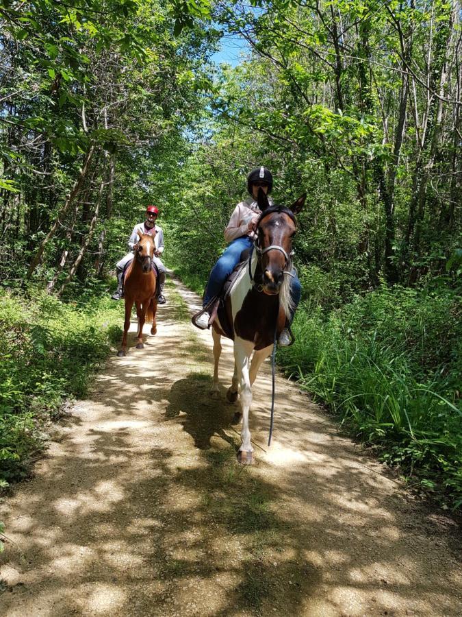 Gite Equestre Domaine Des Crins - Monpazier Capdrot Eksteriør billede