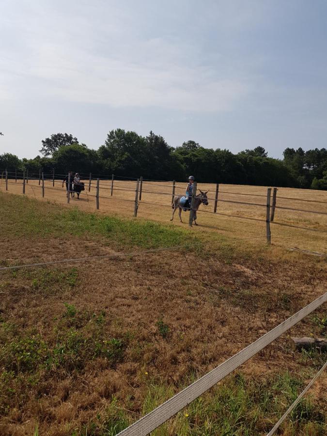 Gite Equestre Domaine Des Crins - Monpazier Capdrot Eksteriør billede
