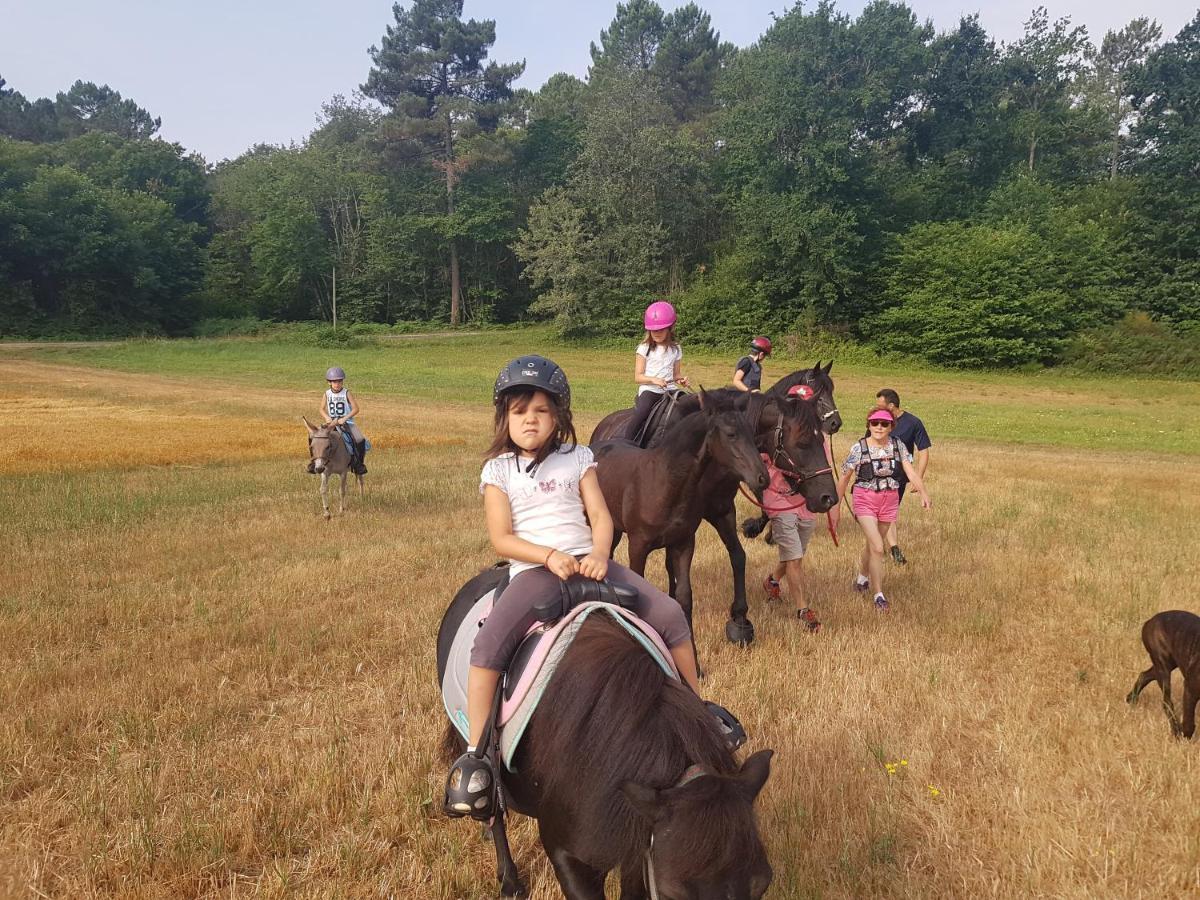 Gite Equestre Domaine Des Crins - Monpazier Capdrot Eksteriør billede