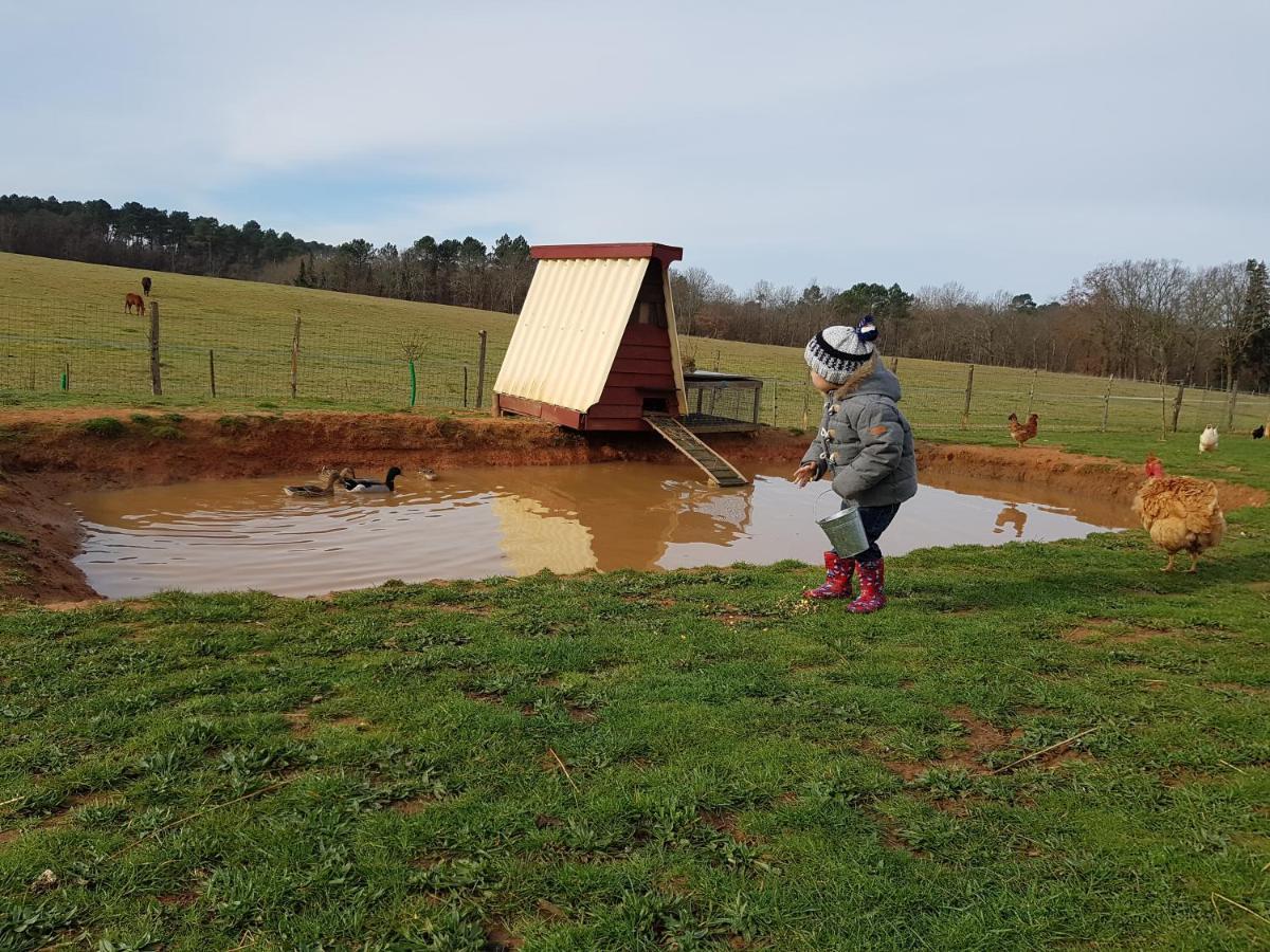 Gite Equestre Domaine Des Crins - Monpazier Capdrot Eksteriør billede