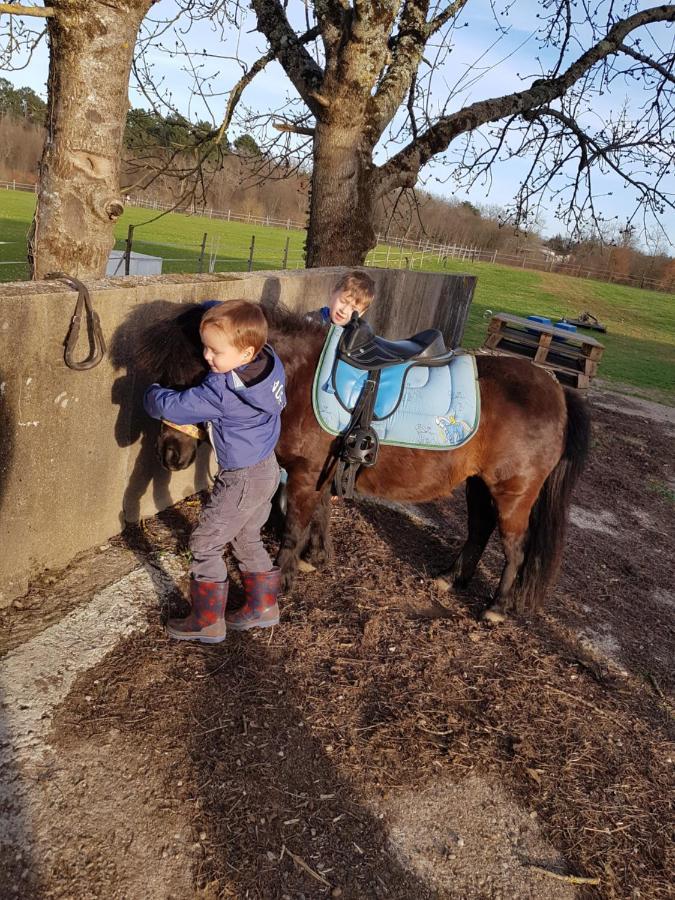 Gite Equestre Domaine Des Crins - Monpazier Capdrot Eksteriør billede