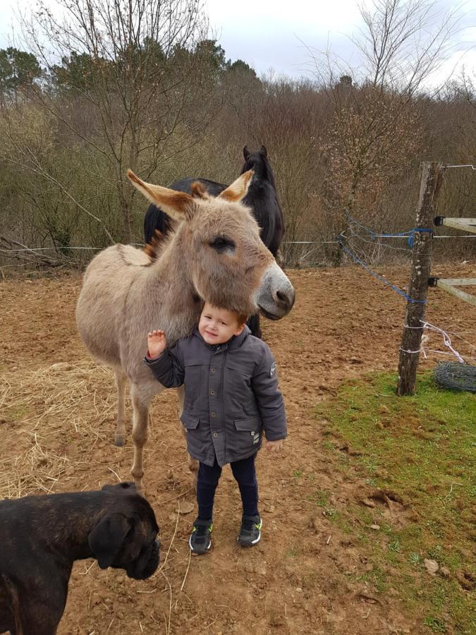 Gite Equestre Domaine Des Crins - Monpazier Capdrot Eksteriør billede