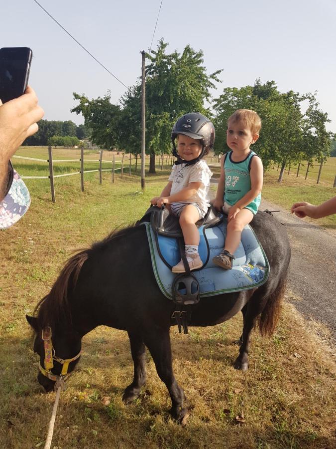 Gite Equestre Domaine Des Crins - Monpazier Capdrot Eksteriør billede