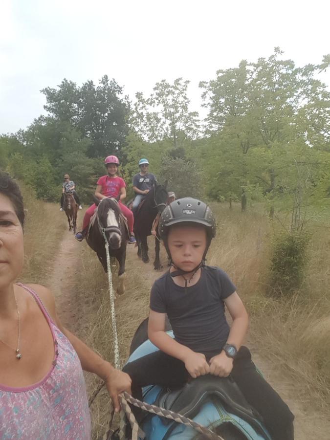 Gite Equestre Domaine Des Crins - Monpazier Capdrot Eksteriør billede