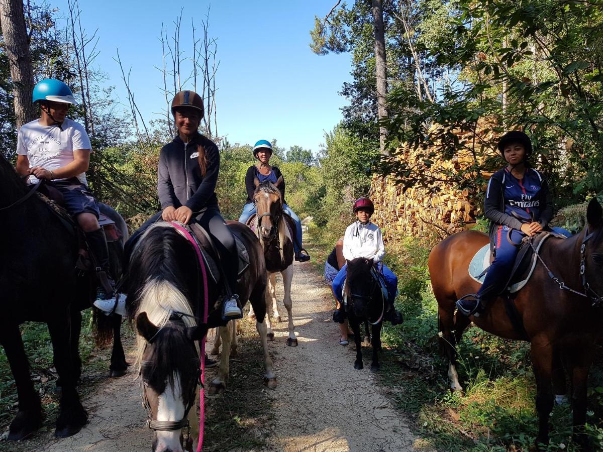 Gite Equestre Domaine Des Crins - Monpazier Capdrot Eksteriør billede