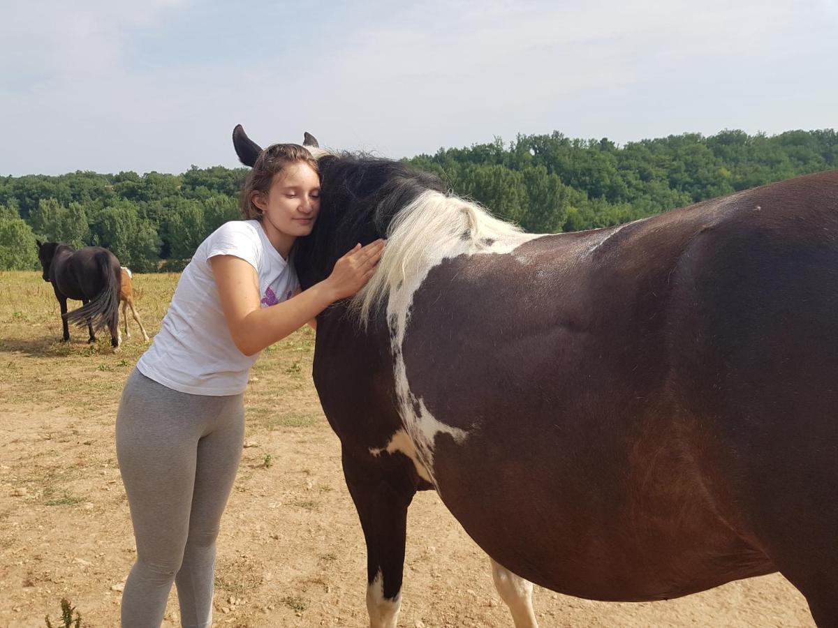 Gite Equestre Domaine Des Crins - Monpazier Capdrot Eksteriør billede