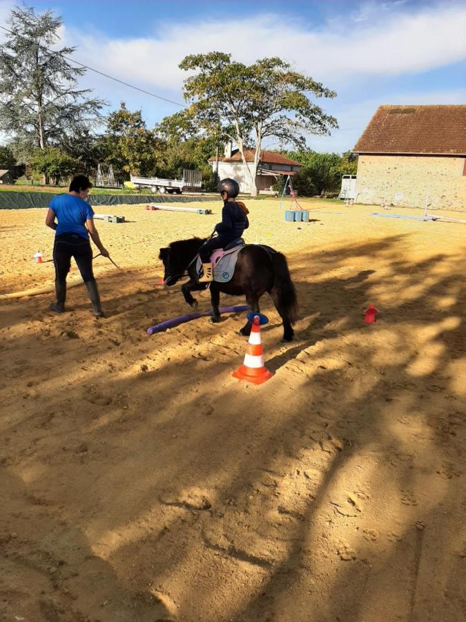 Gite Equestre Domaine Des Crins - Monpazier Capdrot Eksteriør billede