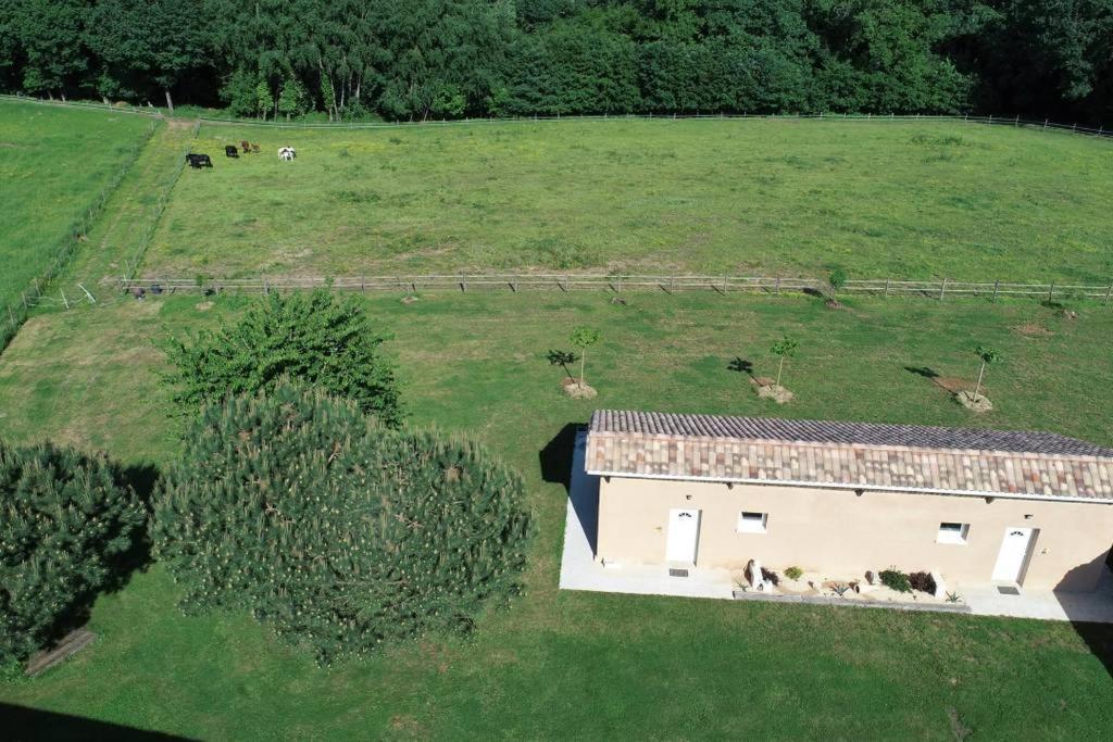 Gite Equestre Domaine Des Crins - Monpazier Capdrot Eksteriør billede