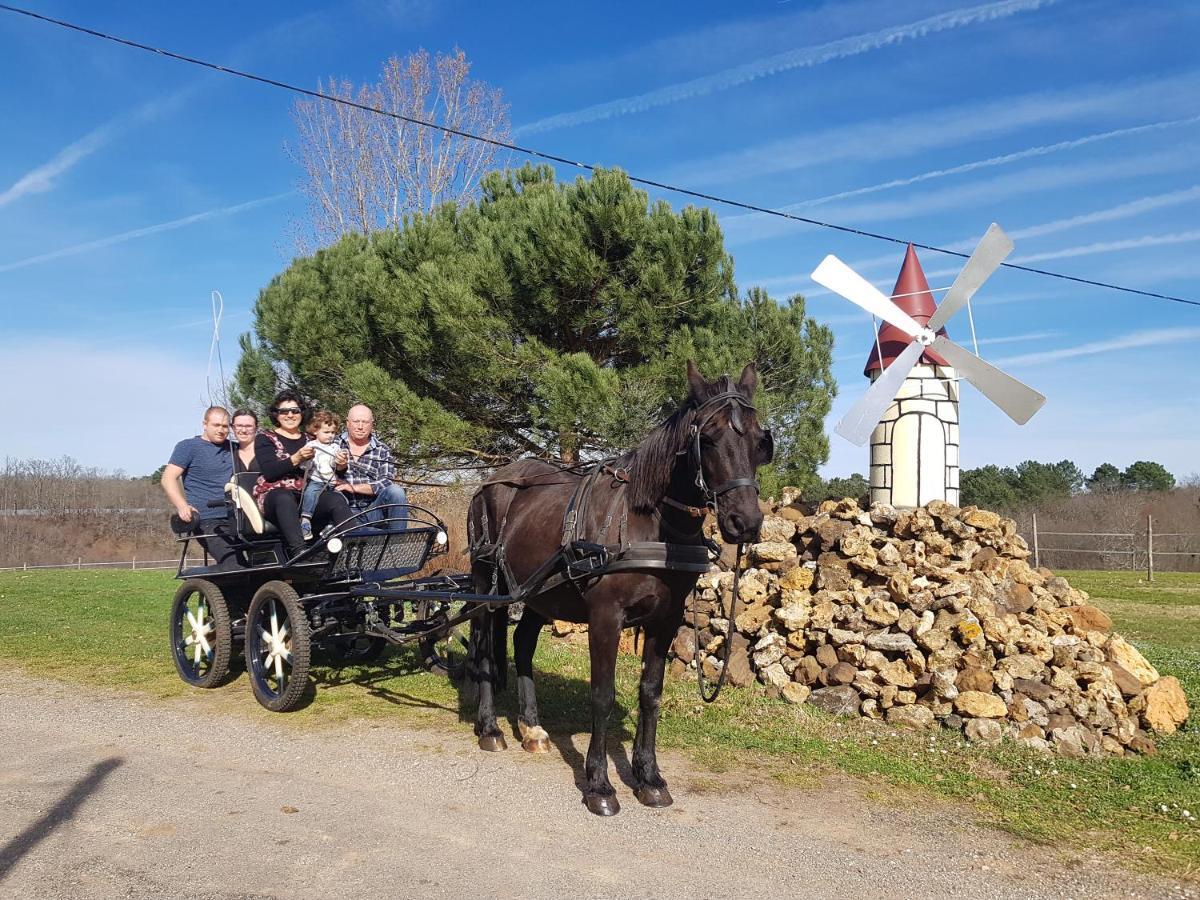 Gite Equestre Domaine Des Crins - Monpazier Capdrot Eksteriør billede
